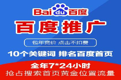 推广竞价策略优化：借鉴经典案例提升效果